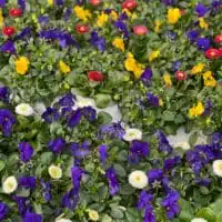 WhatsApp Image 2021 02 20 at 10.27.54 3