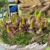 WhatsApp Image 2021 02 20 at 10.27.54 4