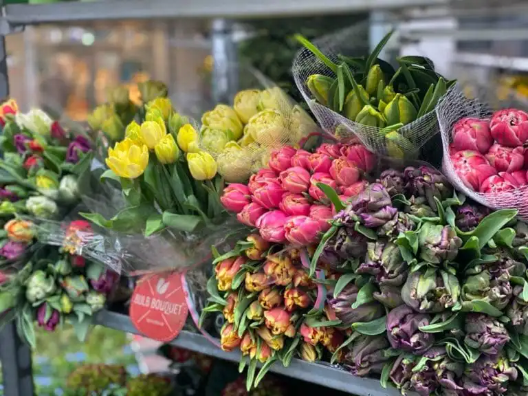 🌷💐 „Tulpenliebe“…