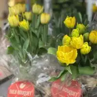 Tulpen 6