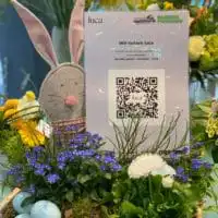 169151806 4034455586605741 4429660736836574051 n