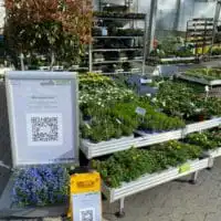 169297536 4034455663272400 1580148360490490317 n