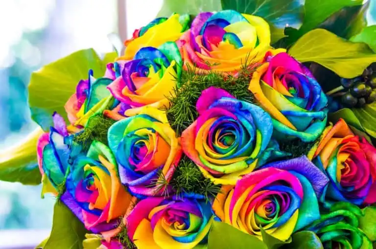 🌈 WIR sind BUNT 🌈