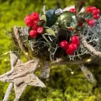 241545064 4706435769407716 6912311450925903382 n