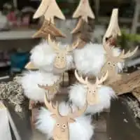 243508614 4706435766074383 5619843606642916786 n