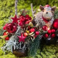 247864563 4706435759407717 7938075556737111416 n