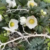 251101457 4706435749407718 6306533098331403025 n