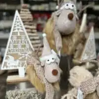 252413893 4677252738992686 9201913743554395127 n