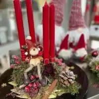 252454481 4677252752326018 9057226057446419001 n