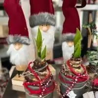 252637776 4677252725659354 6080358999558422871 n