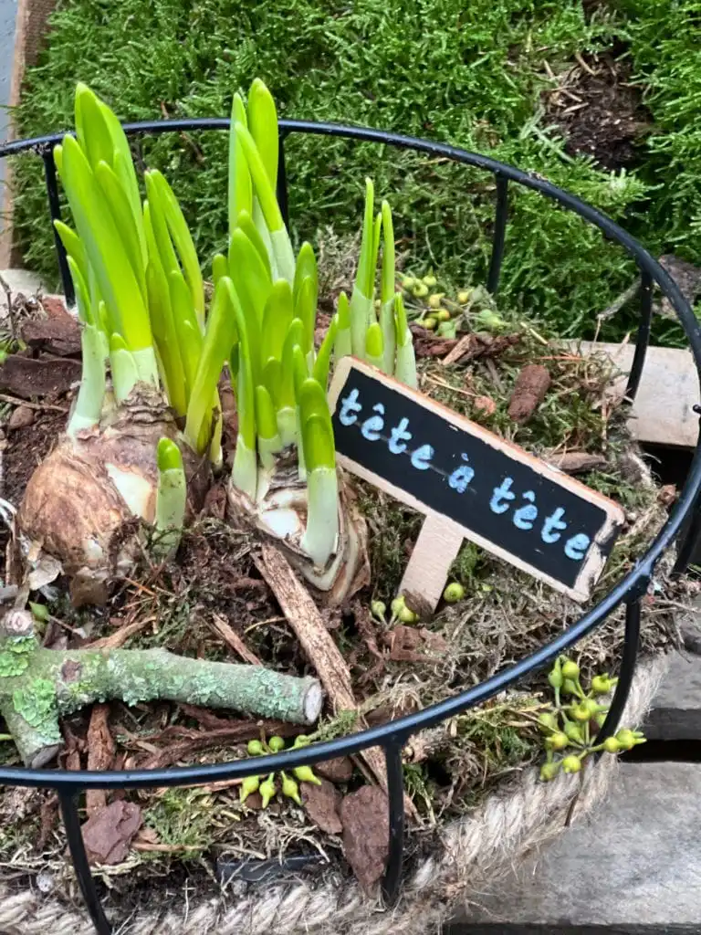 Es ist auch schön es wachsen zu sehen …