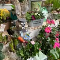 25D63906 D42E 4797 A7BA 3530C5233165