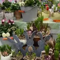 64B50395 AEB4 4C9D 861A B7B5302A4FE5