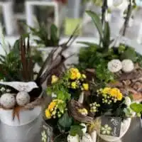 69CC9315 C814 493F B383 BC1F5E0AB820