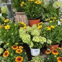 295991040 5524917110892907 5524210714749632424 n