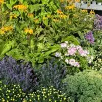 296284931 5524917140892904 568368505832761016 n