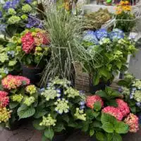 296738628 5524917120892906 1919617146105341509 n