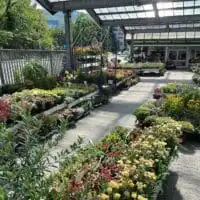 297387823 5524917124226239 8869650691963308716 n