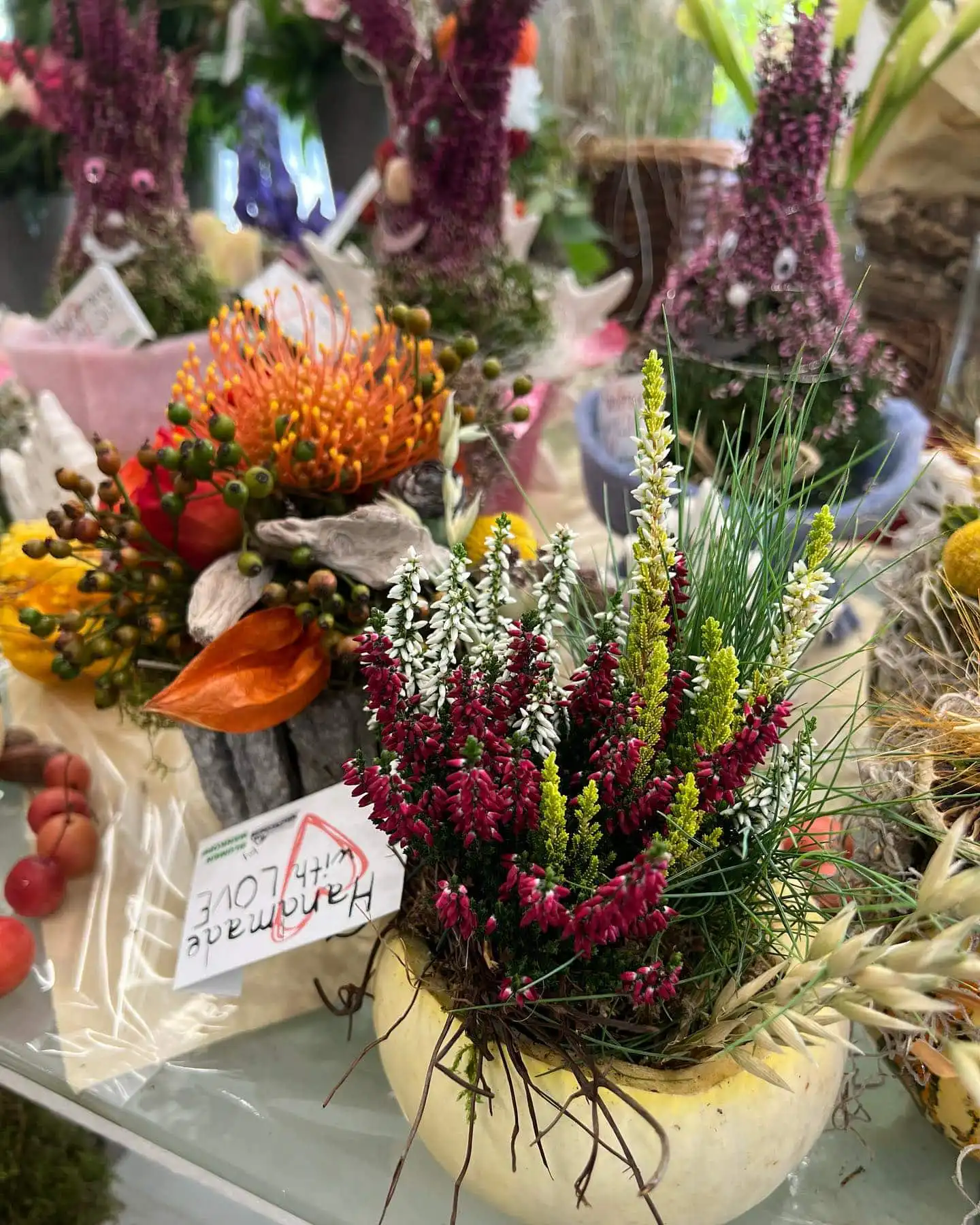 310772821 5707492969301986 7918108051102470889 n