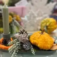 310963507 5707492982635318 5660577051475119201 n