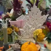 311111869 5707492975968652 4040979541453965206 n