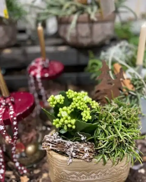 314494918 617802933481634 1868835068710448509 n