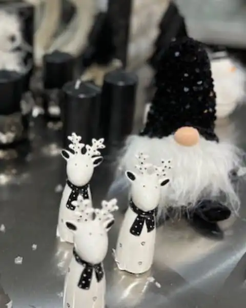 315381192 617802963481631 5103452060337278900 n