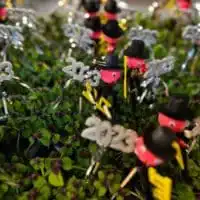 321489052 1349334865893589 3206081533360399034 n 1