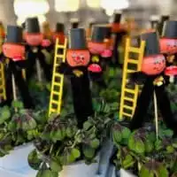 321799833 2254567621382576 7320216573633867510 n 1