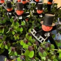 321928902 1571040846692656 7377452136762187750 n 1