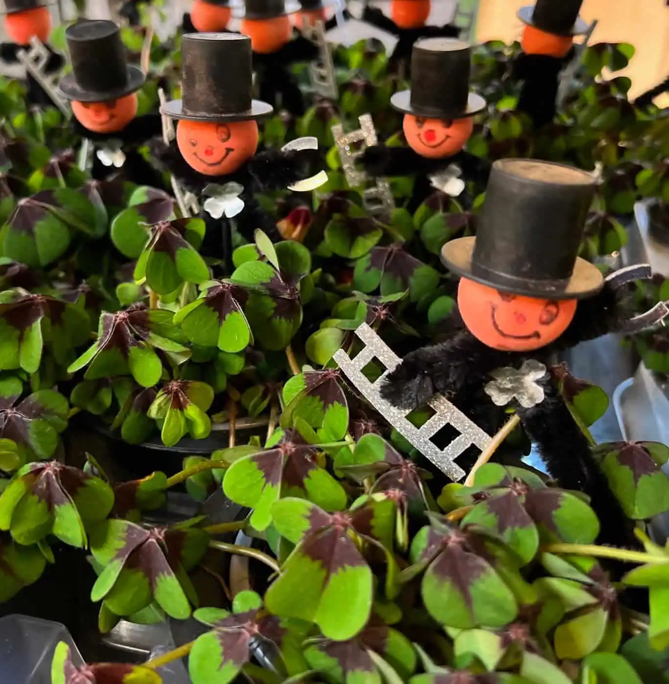 321928902 1571040846692656 7377452136762187750 n