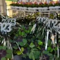 321937308 728312101997503 9135886379060410641 n 1