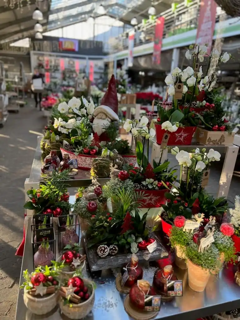 Weihnachten 2022