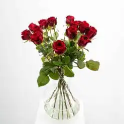 Bachelor & Bachelorette