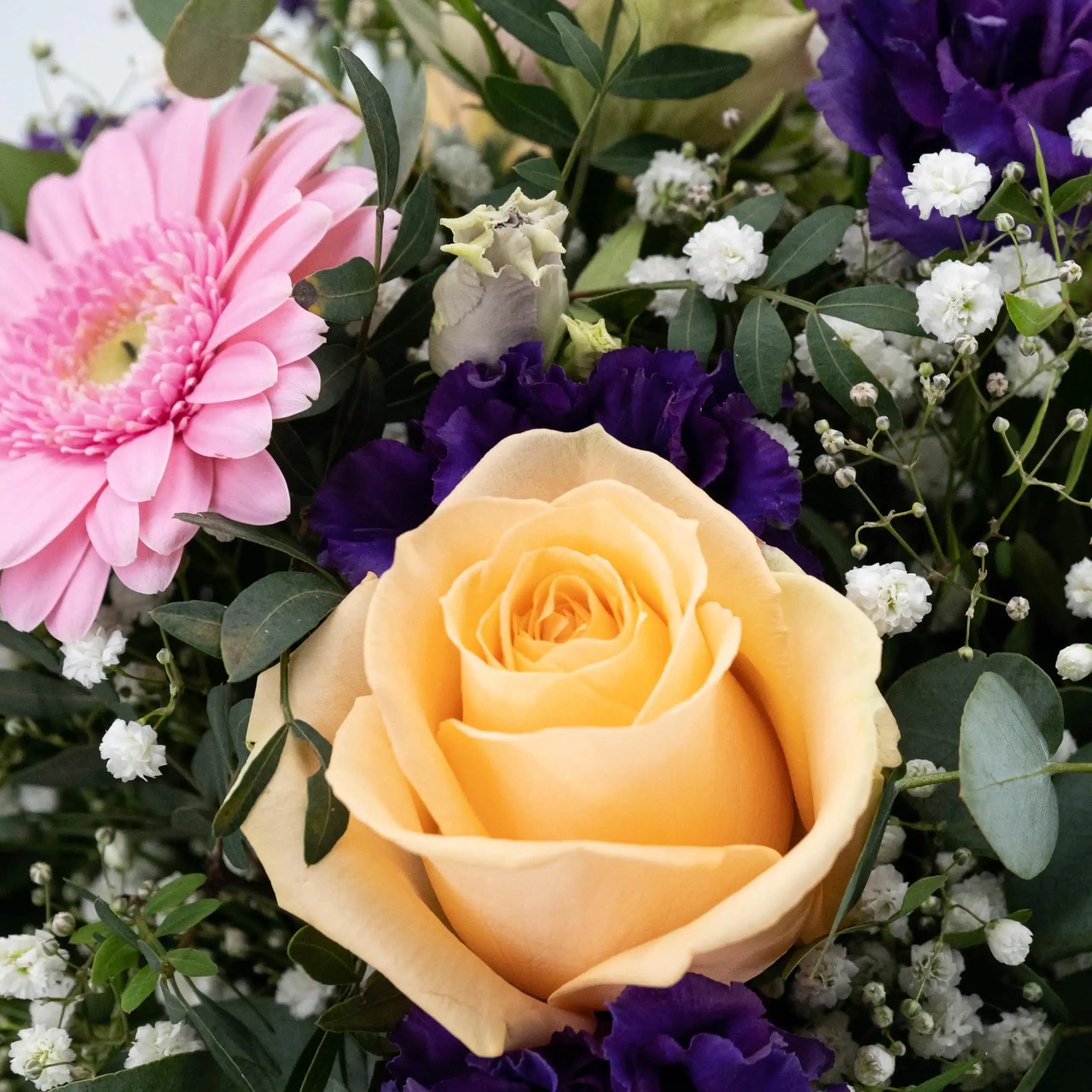 Beste Wünsche 3 Beste Wünsche – Bild 3