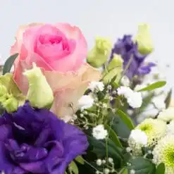 Alternative view of Beste Wünsche