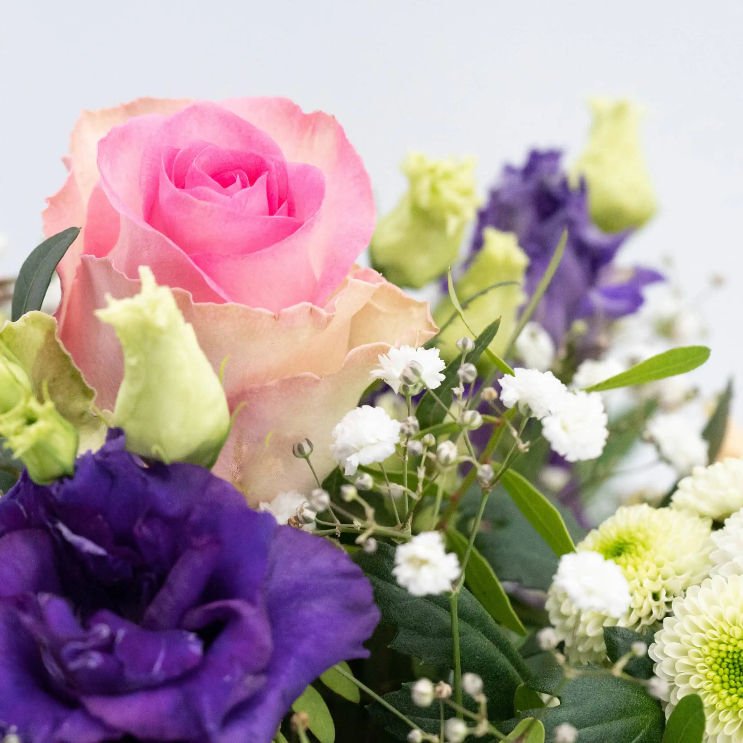 Beste Wünsche 2 Beste Wünsche – Bild 2