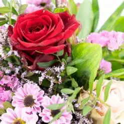 Alternative view of Charming