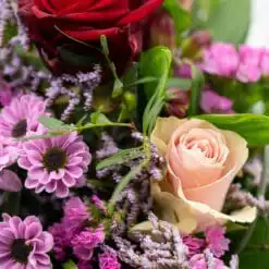 Charming 6 Charming 2 scaled