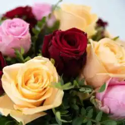 Alternative view of Rosenduft