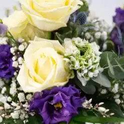 Alternative view of Mutter-Kind-Strauß (Junge)