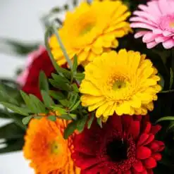 Alternative view of Die besten Wünsche