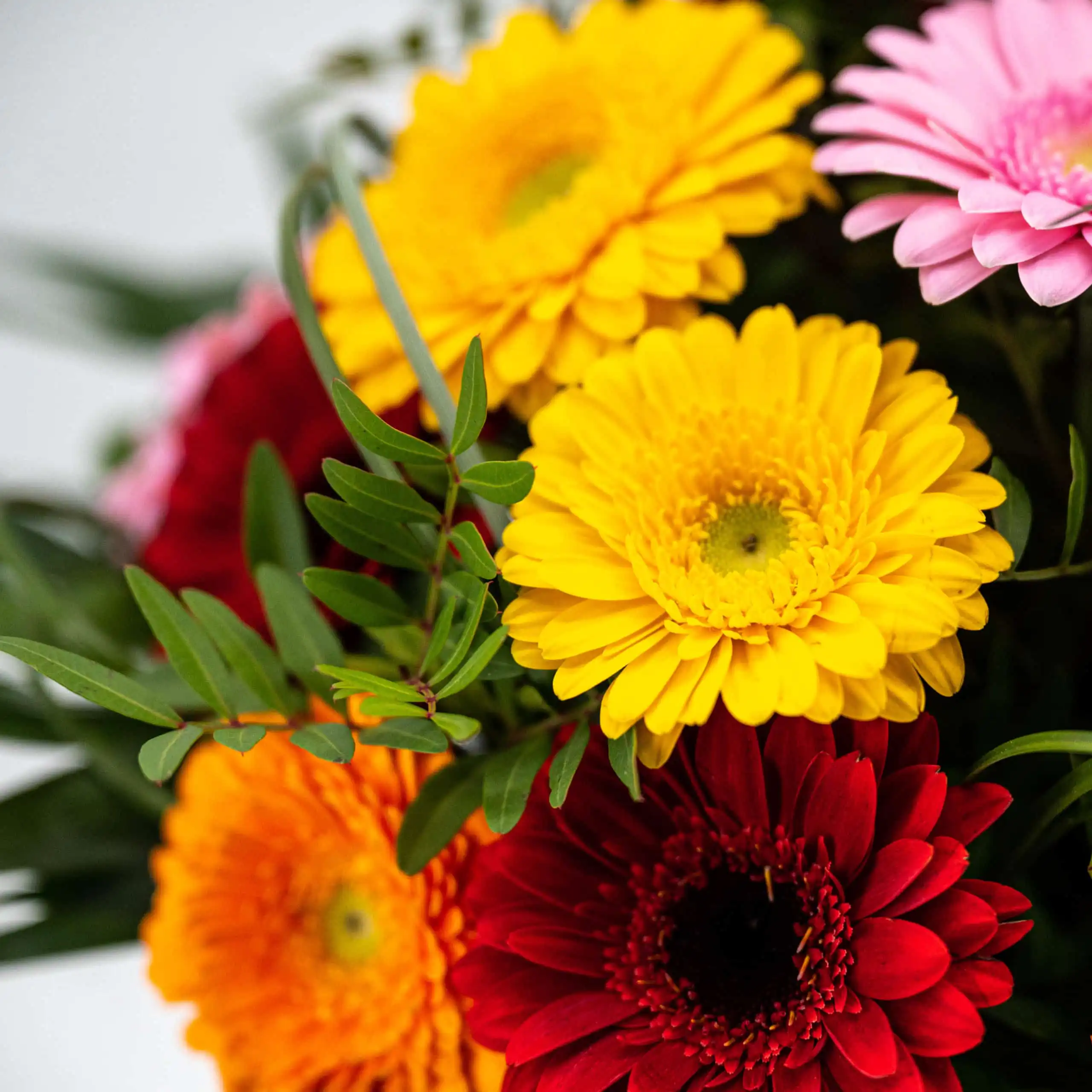 Die besten Wünsche 2 Die besten Wünsche – Bild 2