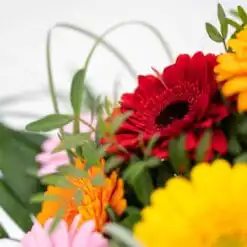 Die besten Wünsche 6 Die besten Glueckwuensche 3 scaled