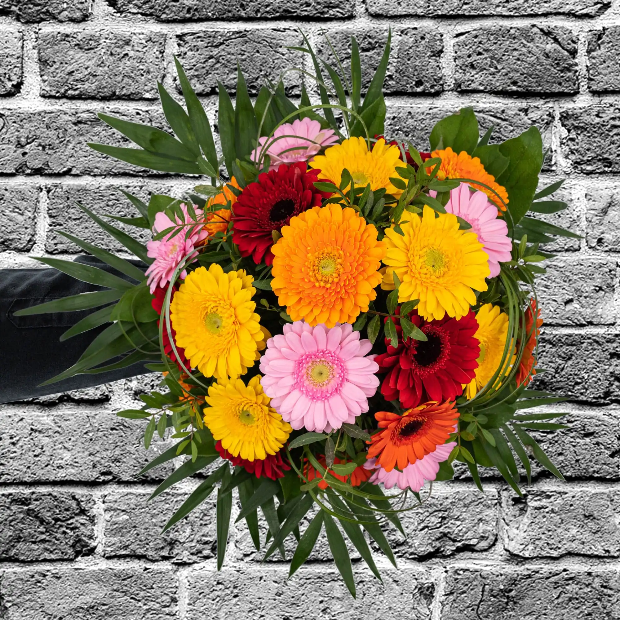 Die besten Wünsche 4 Die besten Wünsche – Bild 4