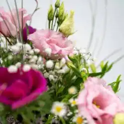 Alternative view of Kaffeekränzchen