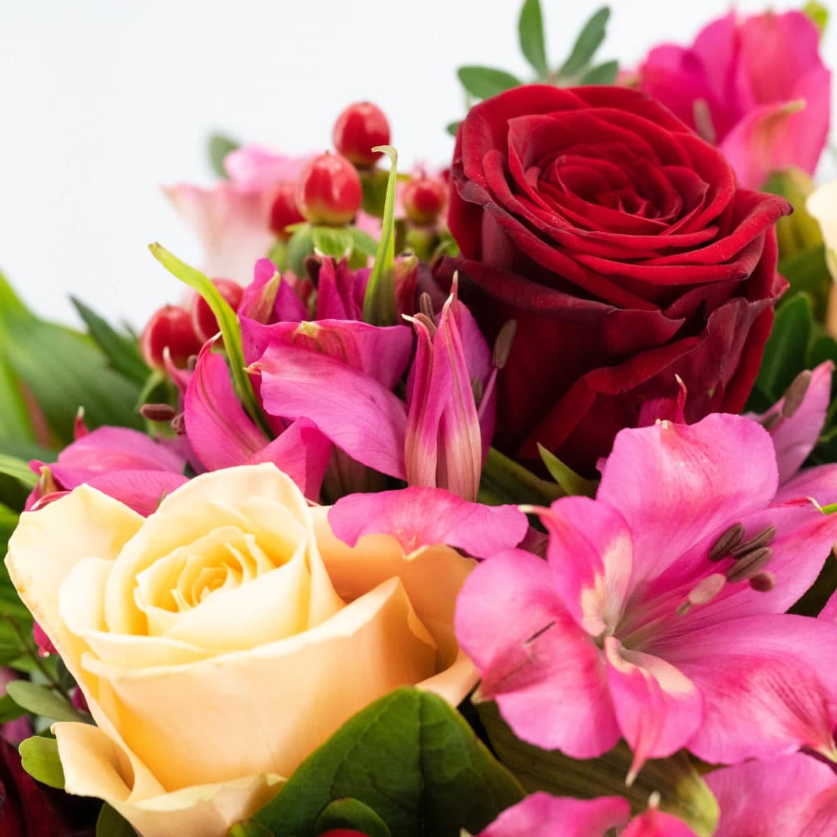Sweet Romance – Bild 2