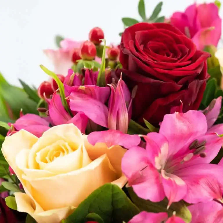 Sweet Romance Detailansicht
