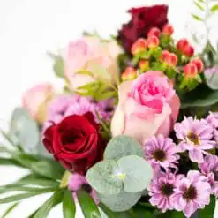 Alternative view of Sweet Dreams