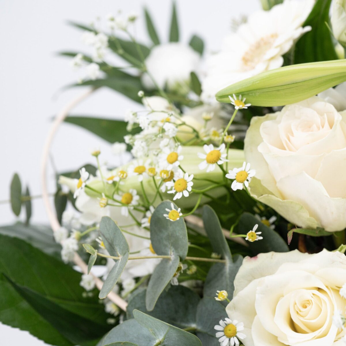 White Moments – Bild 3